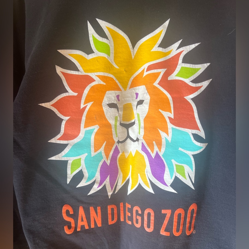 Hanes Black Tee with Colorful Lion & San Diego Zoo Print